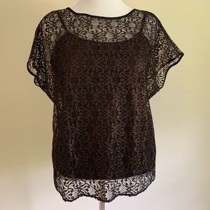 Ann Taylor Lace Top NWOT Size LP